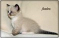 /album/amira/amira-6-hetes-003-jpg/